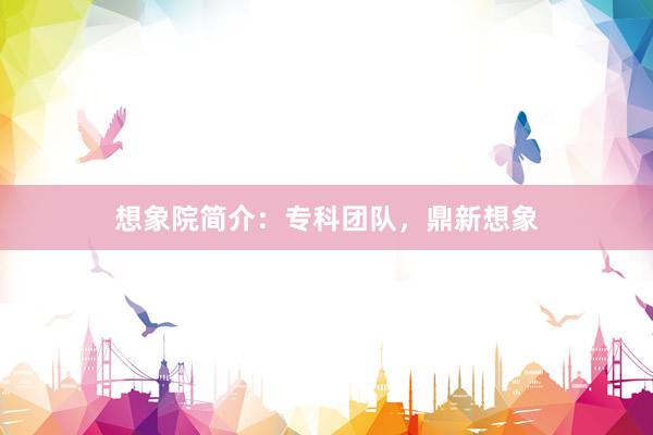 想象院简介：专科团队，鼎新想象