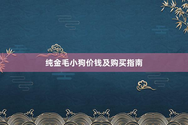 纯金毛小狗价钱及购买指南