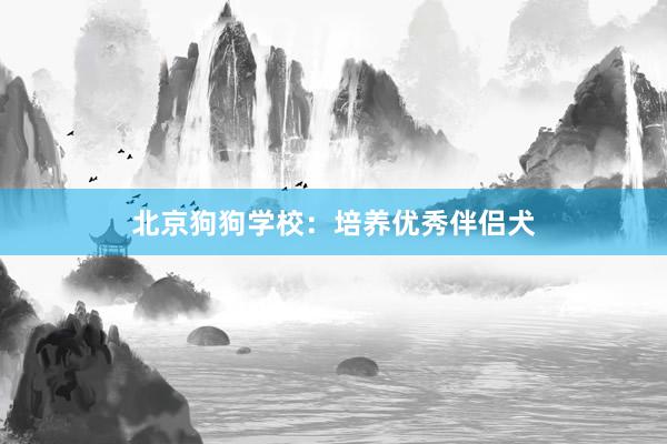 北京狗狗学校：培养优秀伴侣犬