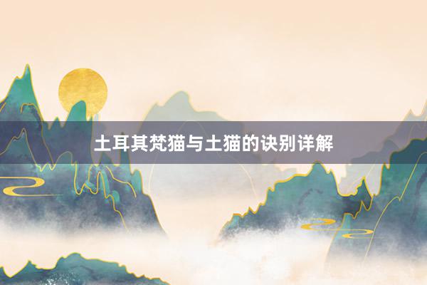 土耳其梵猫与土猫的诀别详解