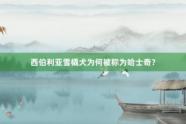 西伯利亚雪橇犬为何被称为哈士奇?