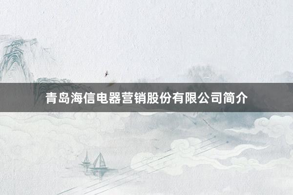 青岛海信电器营销股份有限公司简介